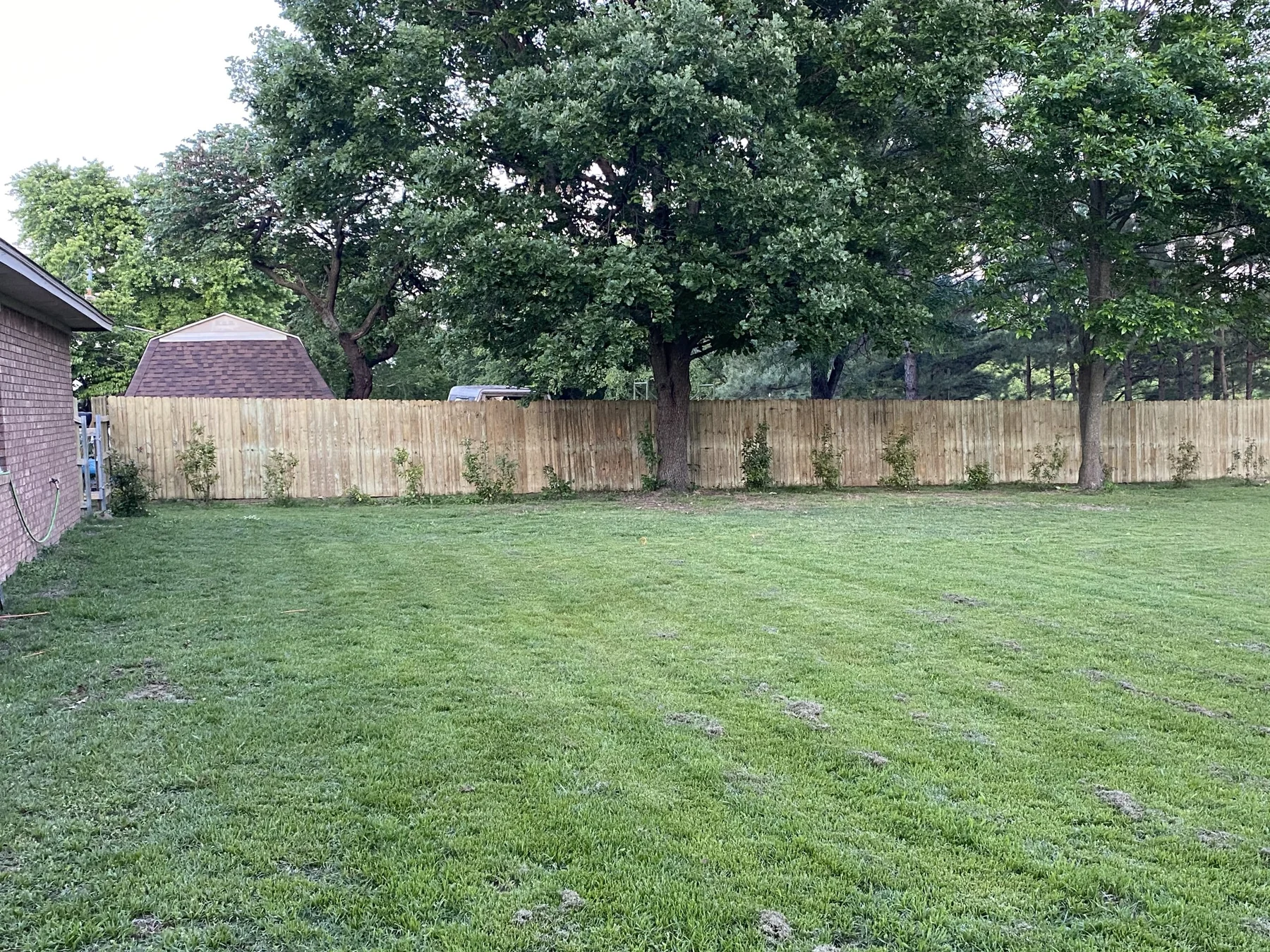 Wood privacy fence along a tree-lined residential backyard