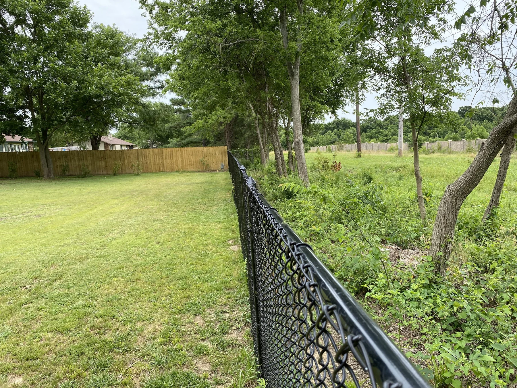 Black chain-link fence along a residential lawn and trees